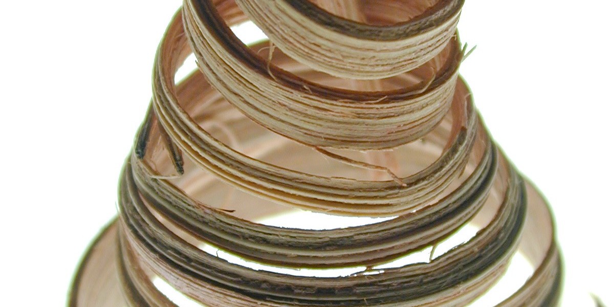 Article Picture