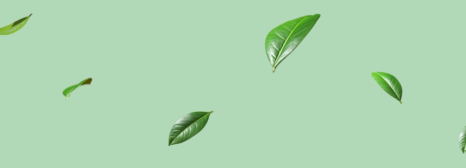 Bloom and Bud Cover Image