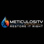 MeticulocityCleaning Profile Picture