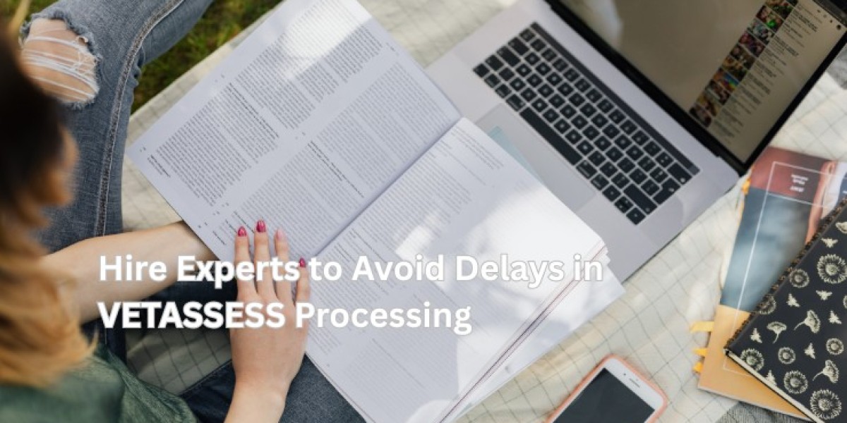 Hire Experts to Avoid Delays in VETASSESS Processing