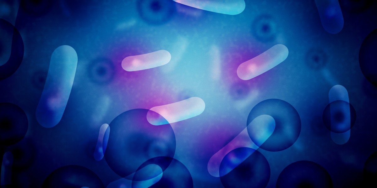 Exploring Male Erectile Dysfunction Treatment: An Observational Study