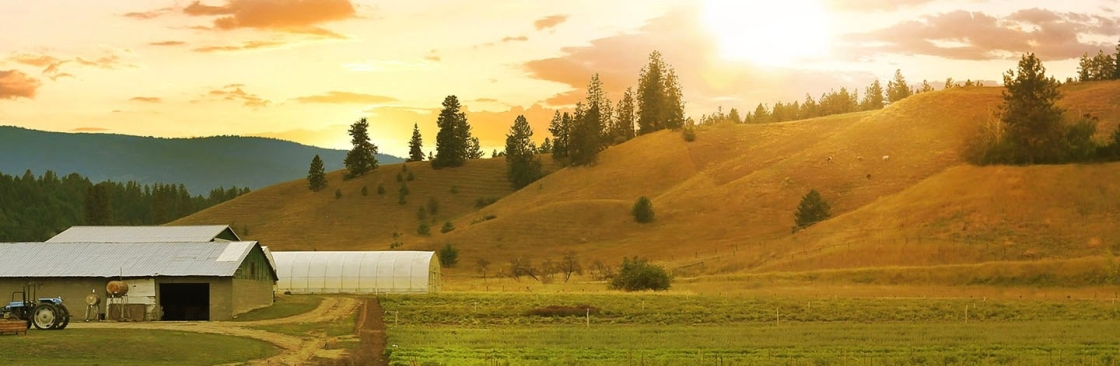 Whole Earth & Sea Cover Image