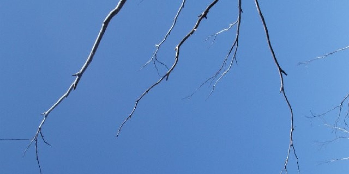 Meet the People Behind the Play