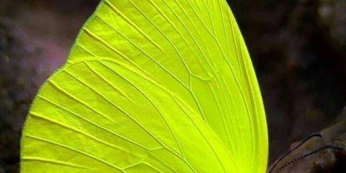 Packaging & Accessories: The Art of Presentation and Protection