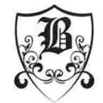 baasarstone Profile Picture