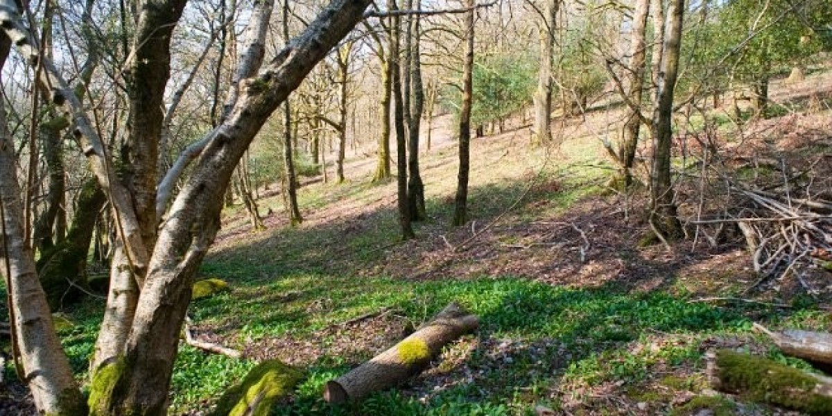 Fair Go Casino Sign In: Enhanced Security & Quick Access Features