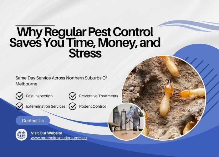 Why Regular Pest Control Saves You Time, Money, and Stress