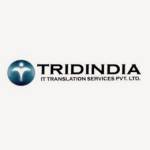 TridIndia Company Profile Picture