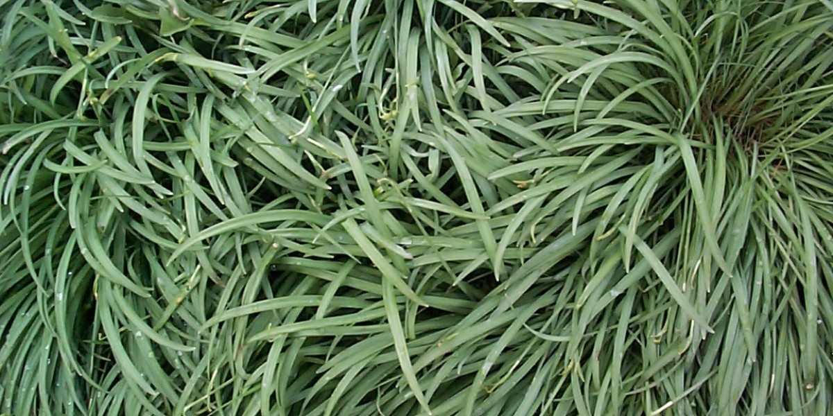 Entertainment and Gaming Promotions Gaming-Core Park