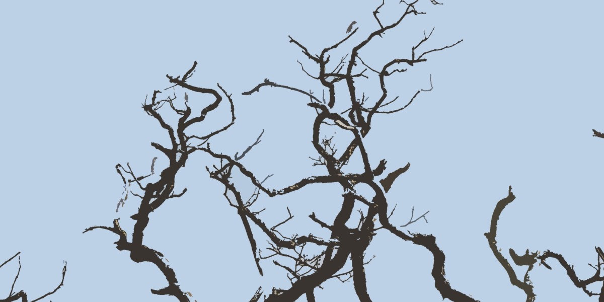 Why the Star Entertainment share price is taking a time-out today