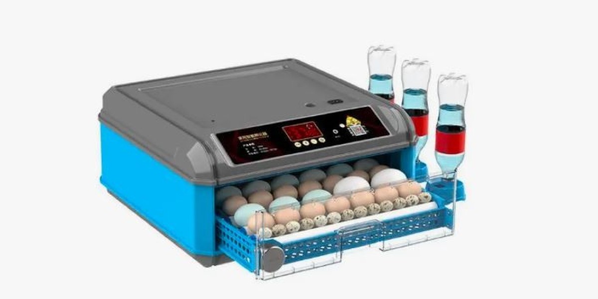 Couveuse 500 œufs prix : performance, qualité et économies garanties
