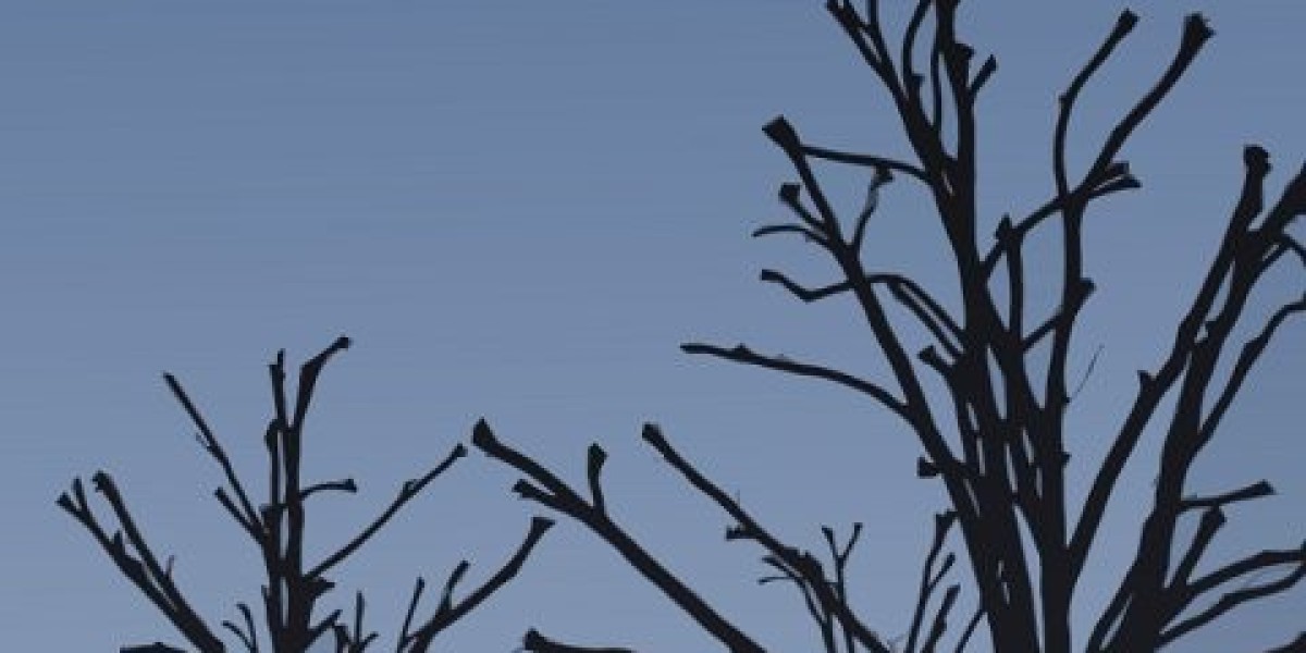 Rocketplay Casino App: Download and Install Guide for Android and iOS!