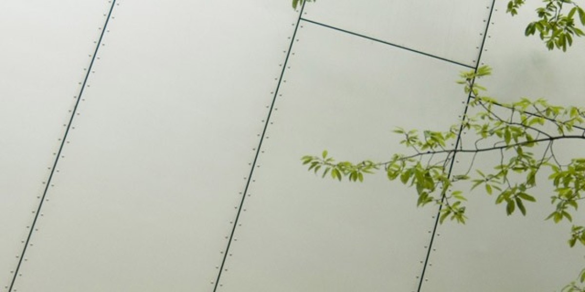 Share Price Information