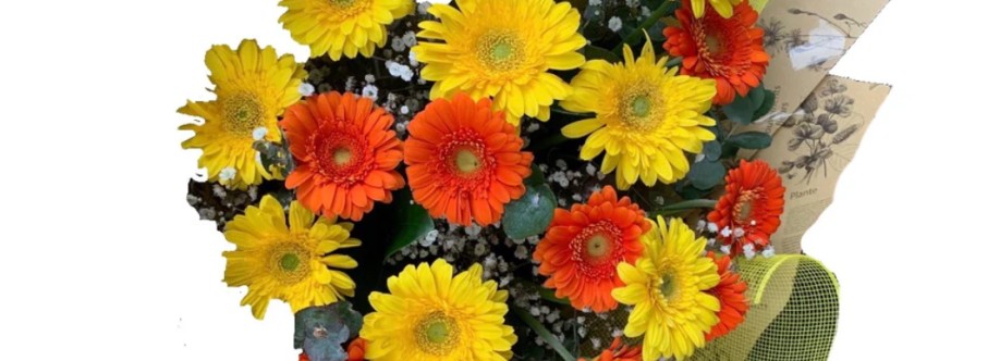 living flowers Cover Image