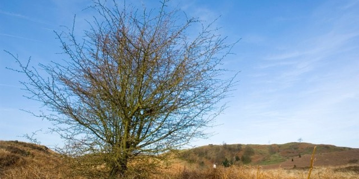 Online Casino Games for Real Money 24 7 at DraftKings Casino