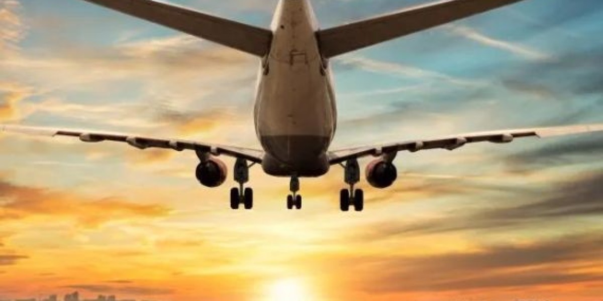 Flighta: The Modern Traveler's Best Companion for Hassle-Free Air Journeys