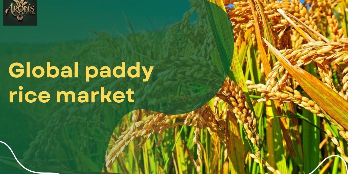 5 Key Differences in Key Trends Influencing the Global Paddy Rice Market in 2025