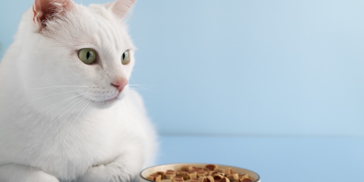 Gluten Free Cat Foods: The Smart Choice for Sensitive Cats