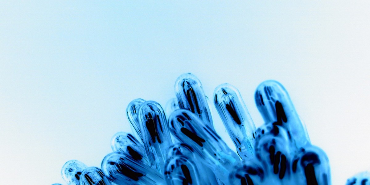 Play Real Money Casino Games