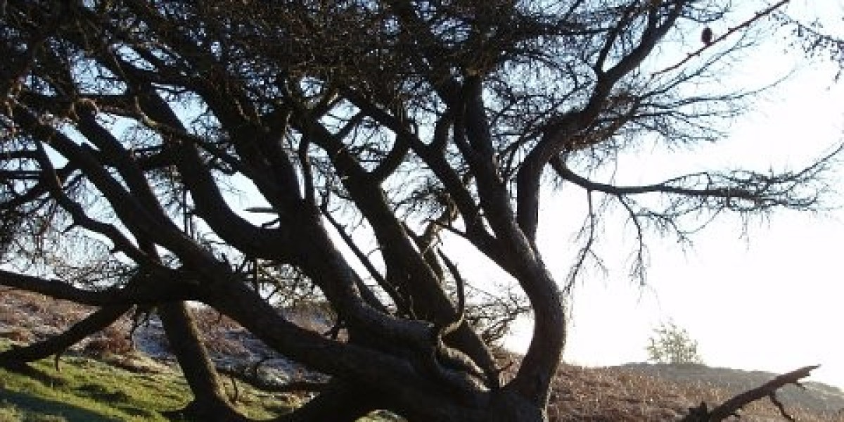 Crown Casino Melbourne