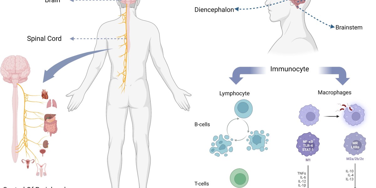 Central Nervous System Disorder Therapeutics Market Insights [2025-2034] | Latest Industry Updates, Promising Growth, Op