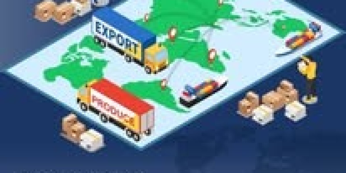 A Beginner’s Guide to Import Export Documentation Services & Management Consulting Firms: Grow Confidently with the 