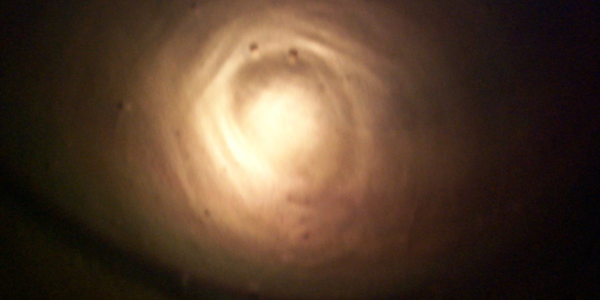 Trouble continues as Star Entertainment burns through cash