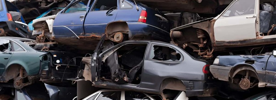 Metro Salvage Cover Image