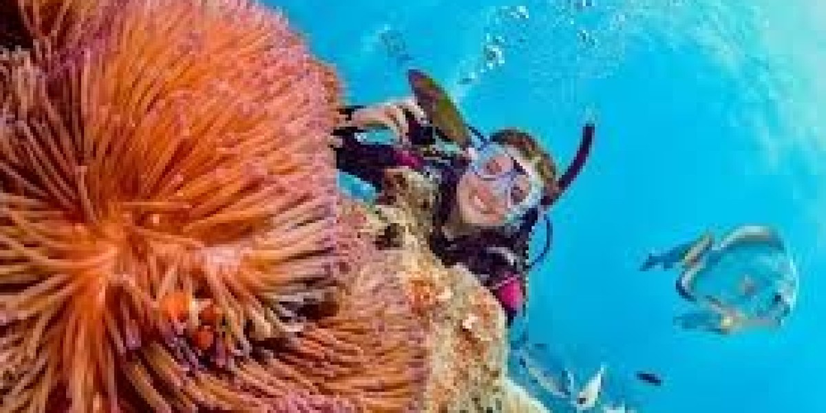 Beginner’s guide to fishing in Australia