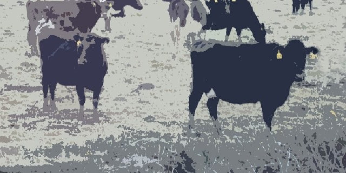 Il Miglior Casinò Online in Italia 2025