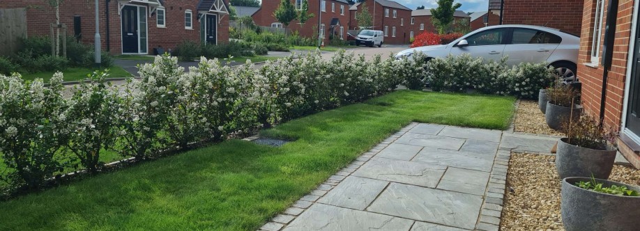 Ammaari Stones Cover Image