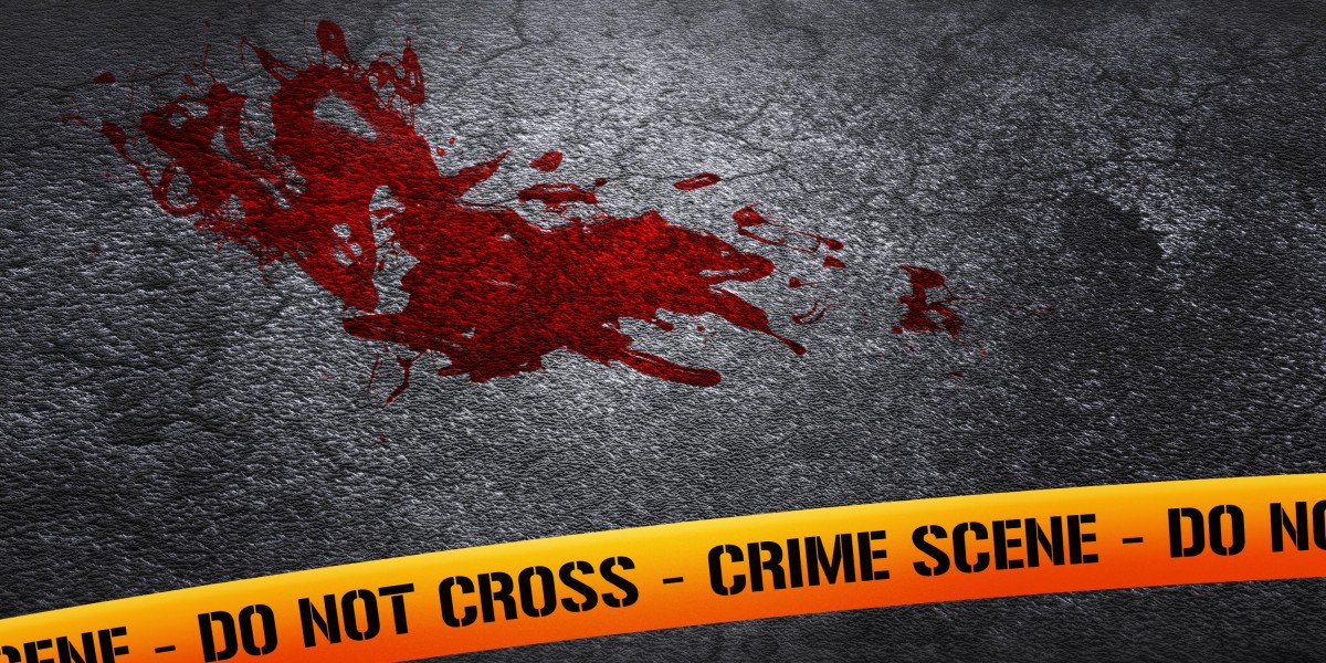 Exploring the New Era of Private Aviation: Options for Private Planes Near You