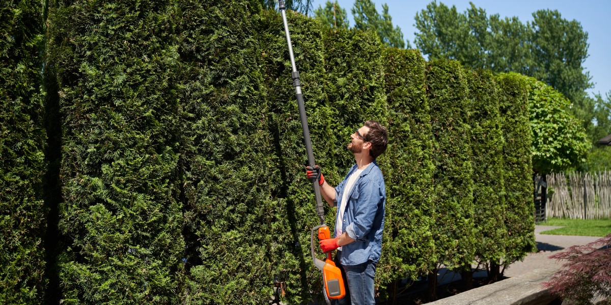 Commercial Landscaping Maintenance Services by RP Landscape for Clean, Safe & Professional Business Spaces