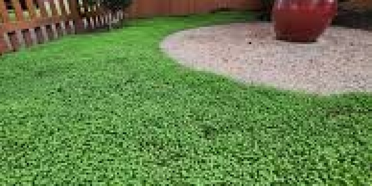 Transform Your Yard with Clover Lawn: A Sustainable and Low-Maintenance Solution