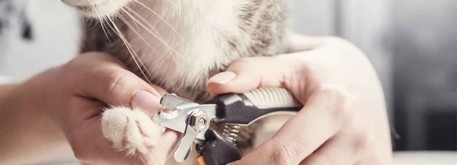 Pawfect Spa Cover Image