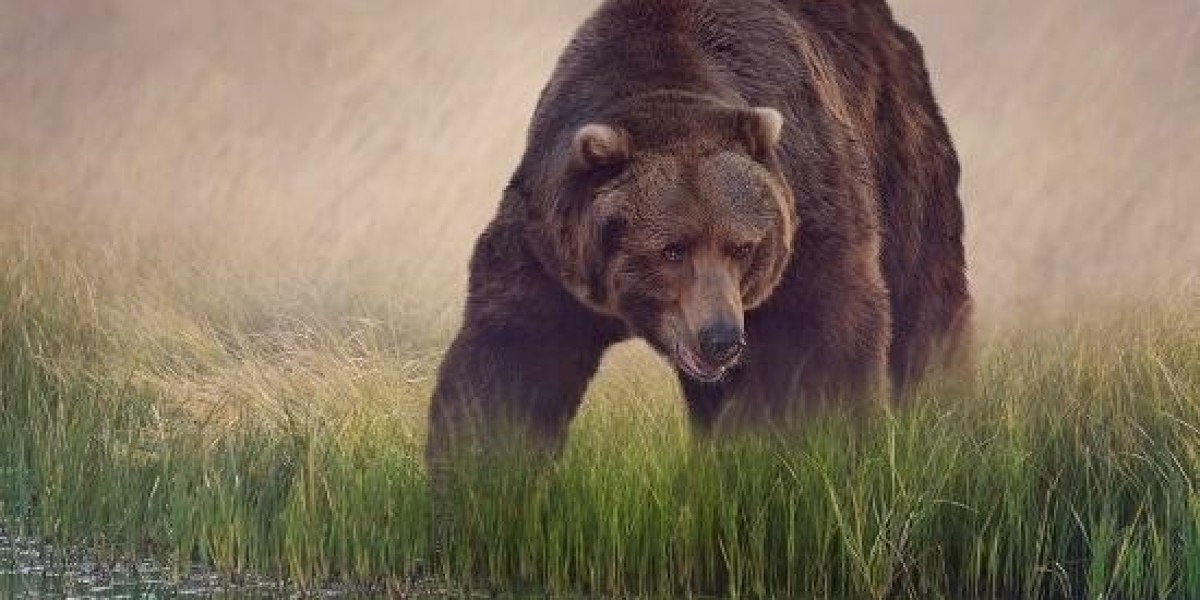 Witness How One Lucky Customer Secured ₦38 Million with ₦400