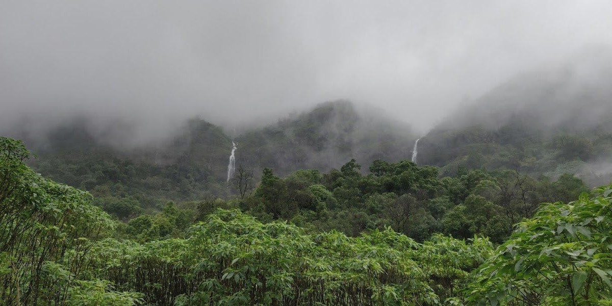 Monsoon Special Andharban Jungle Trek – Forest Trail Experience