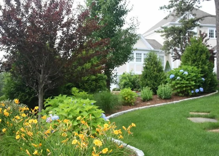 Lawn Maintenance Service South Shore | Professional Landscape Maintenance Services Cape Cod