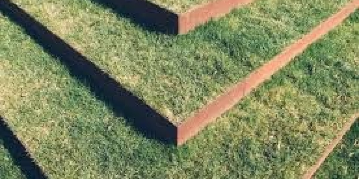 Expert Sod Installation in Fort Worth TX for Lush, Healthy, and Easy-to-Maintain Lawns