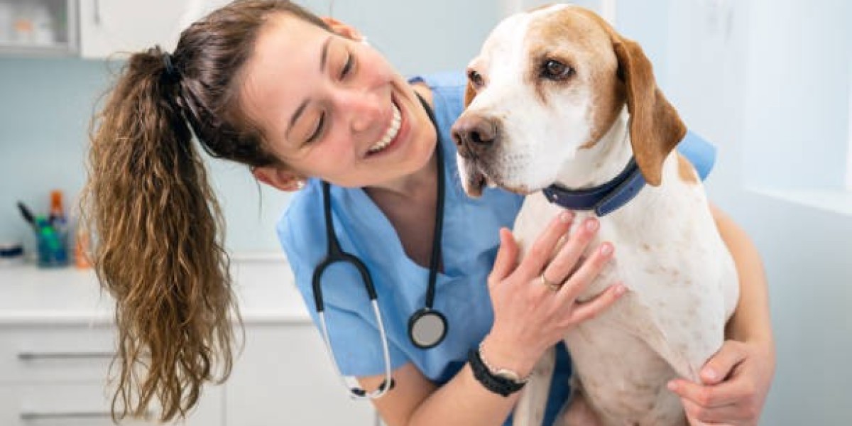 Why Choose Park Hills Animal Hospital for Pet Health