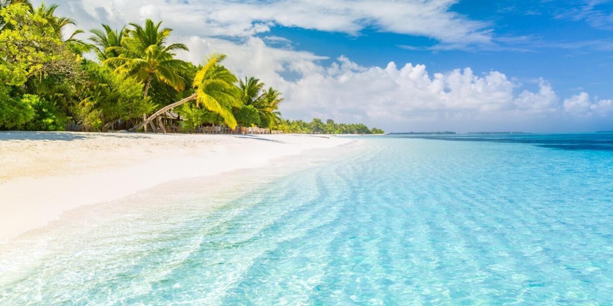 Visit Places: A Practical Travel Guide for 2026