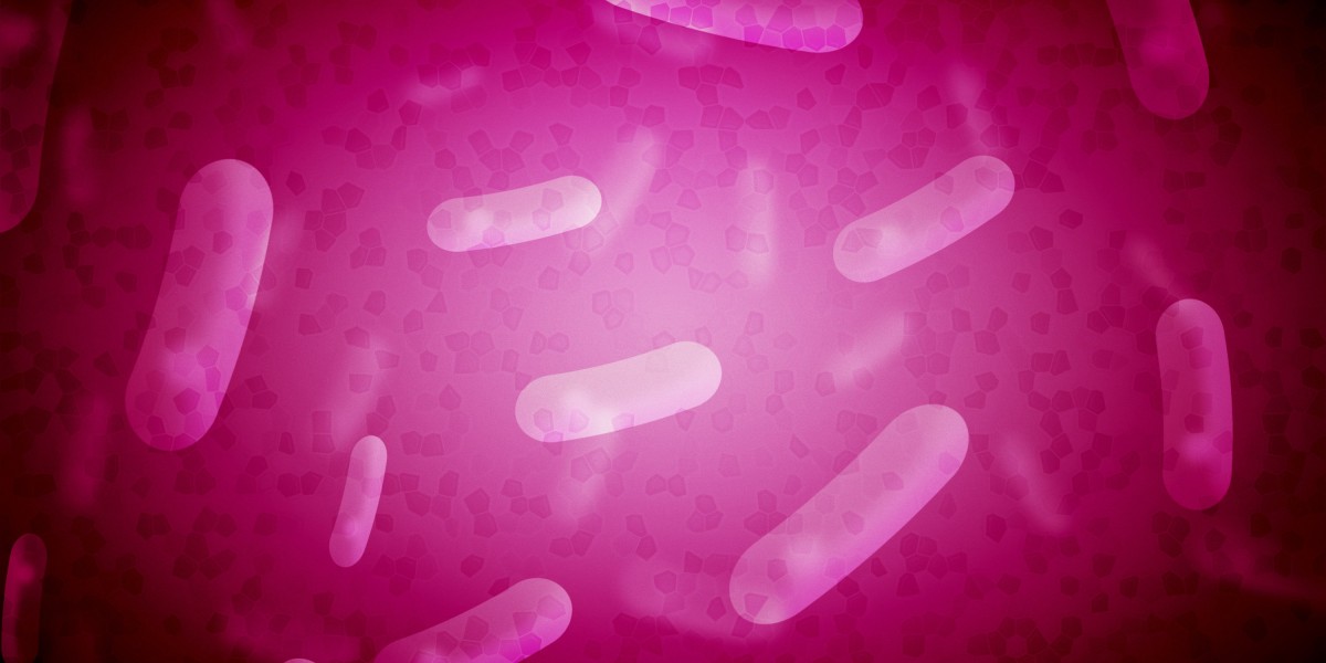 Exploring the Evolution of Sugar Daddy Sites in Hawaii: A Modern Approach to Companionship