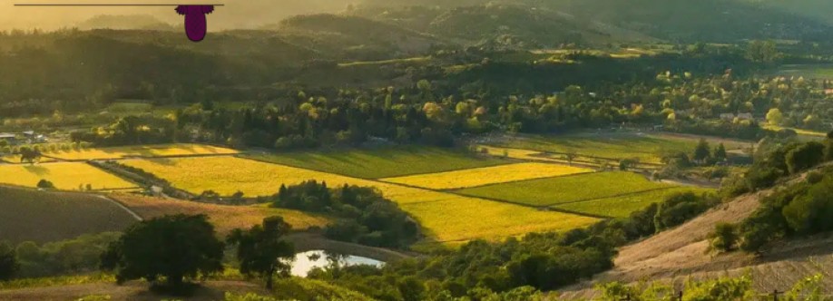 Platypus Tours Cover Image