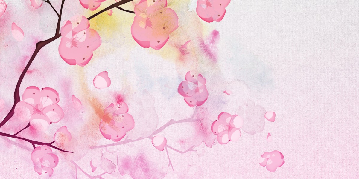 Understanding Dangerous Credit Loans: A Case Study