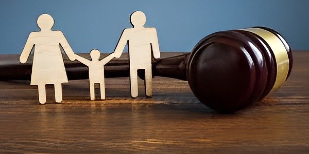 When a Home Paternity Test Is Not Enough: Situations That Require Legal Testing