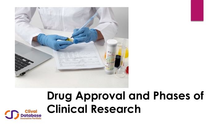 PPT - Drug Aproval and Phase of Clinical Research PowerPoint Presentation - ID:14742110