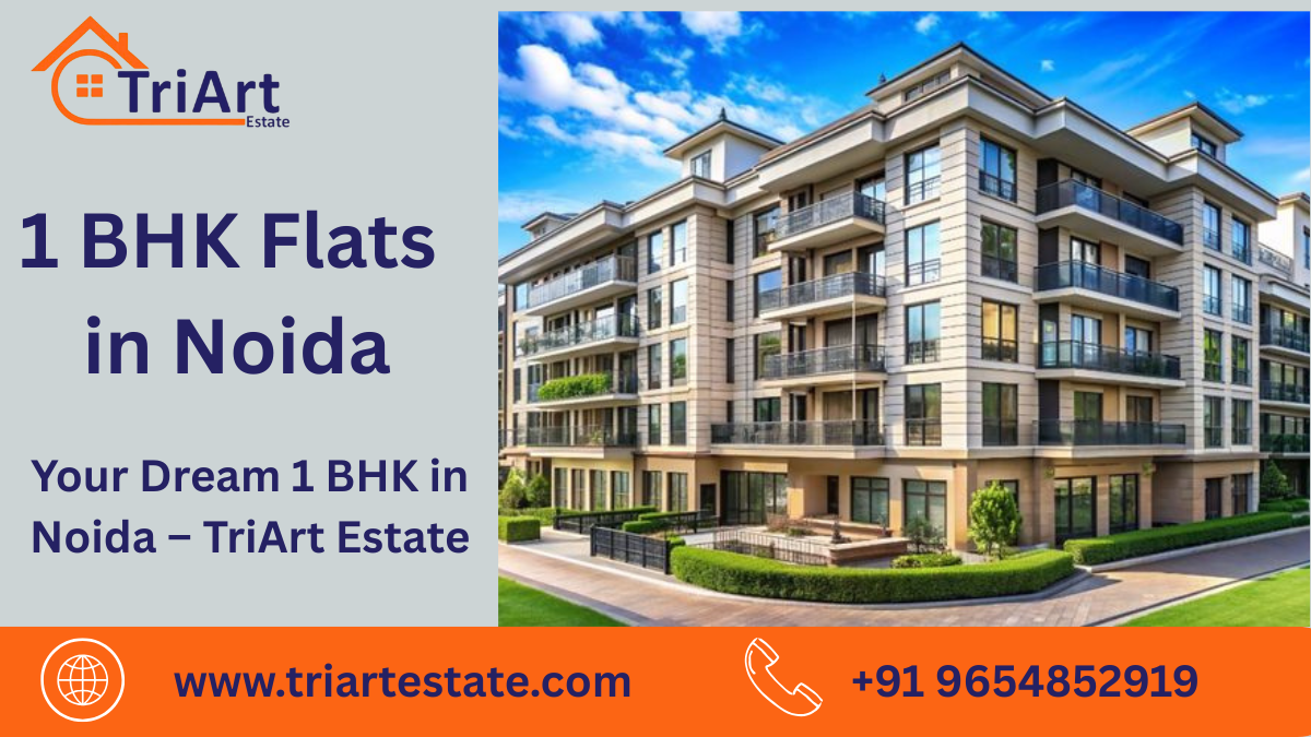 1 BHK Flats in Noida | Affordable Homes for Sale & Rent