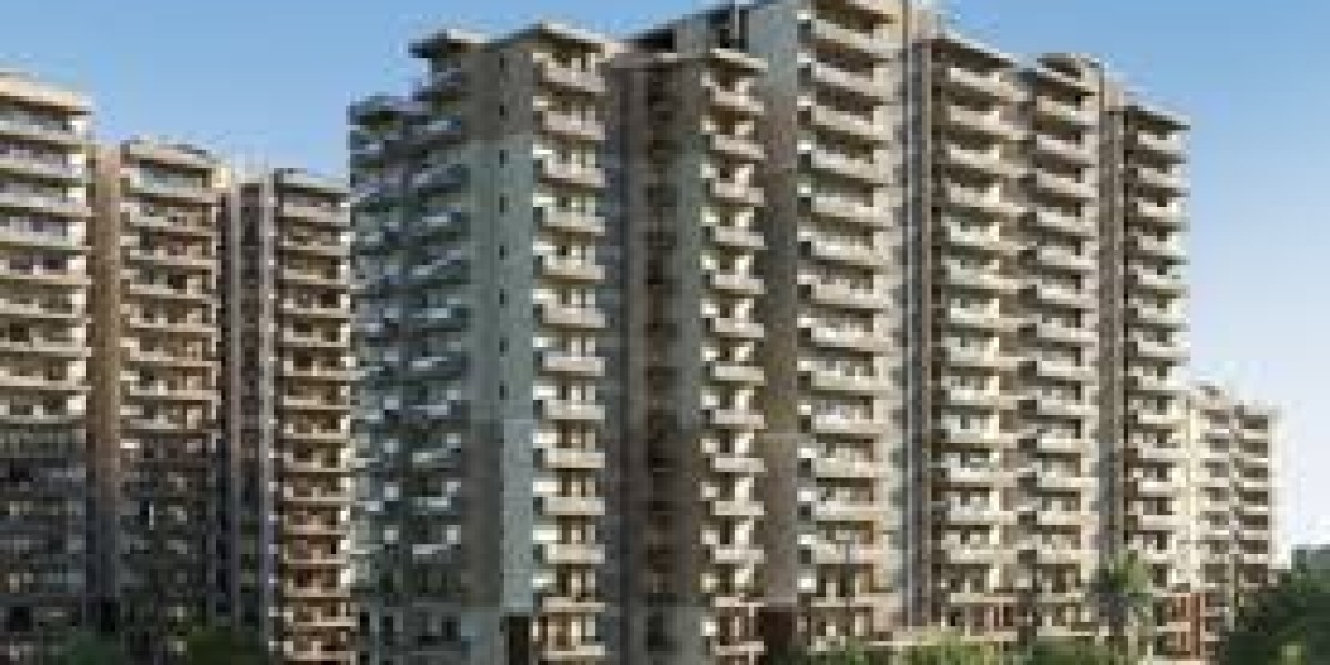 Title Verification Technologies: Reducing Fraud in Home Buying