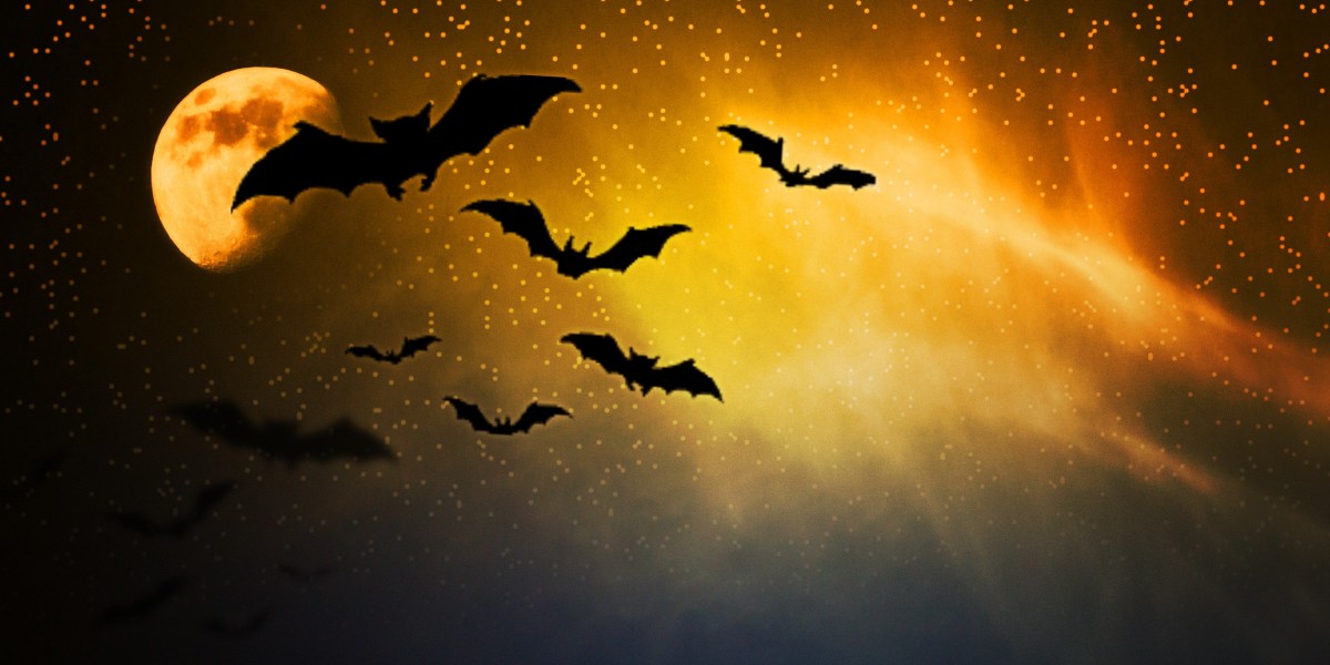 Understanding Gold Companies and IRAs: A Comprehensive Guide