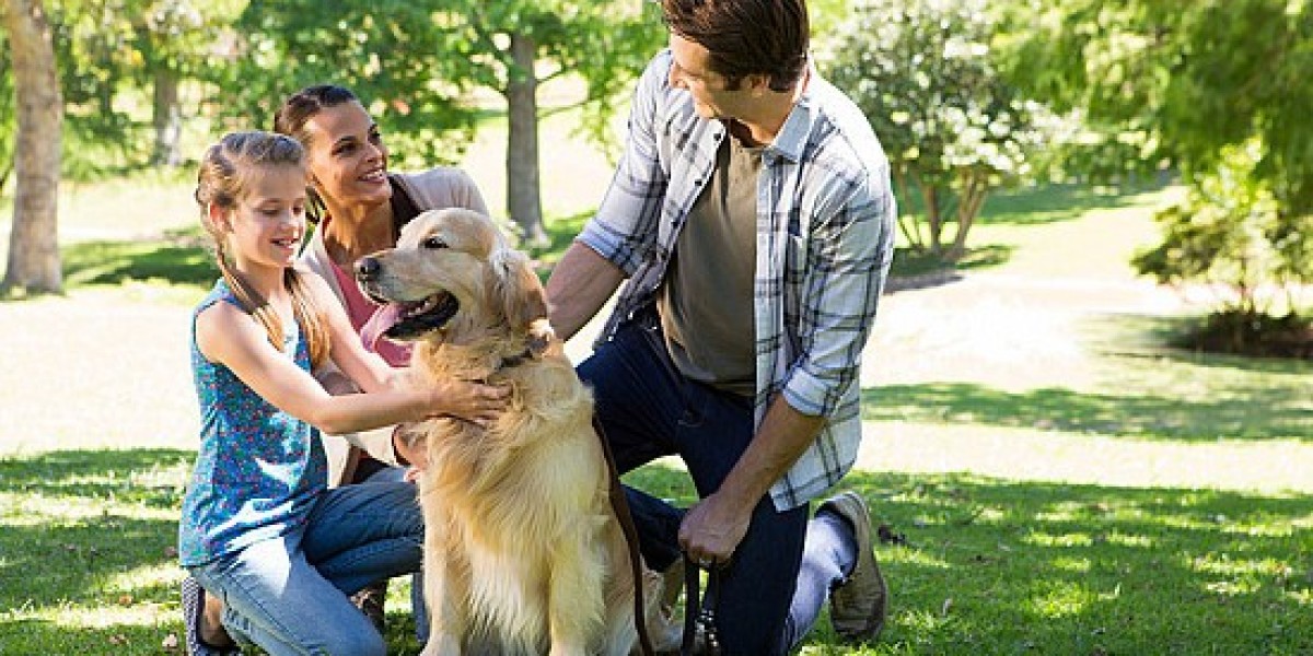 Live Style in 2026: How Daily Choices Shape Health and Habits